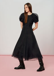 Organza Puff Sleeve Dress