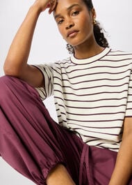 Fine Knit Stripe T-Shirt