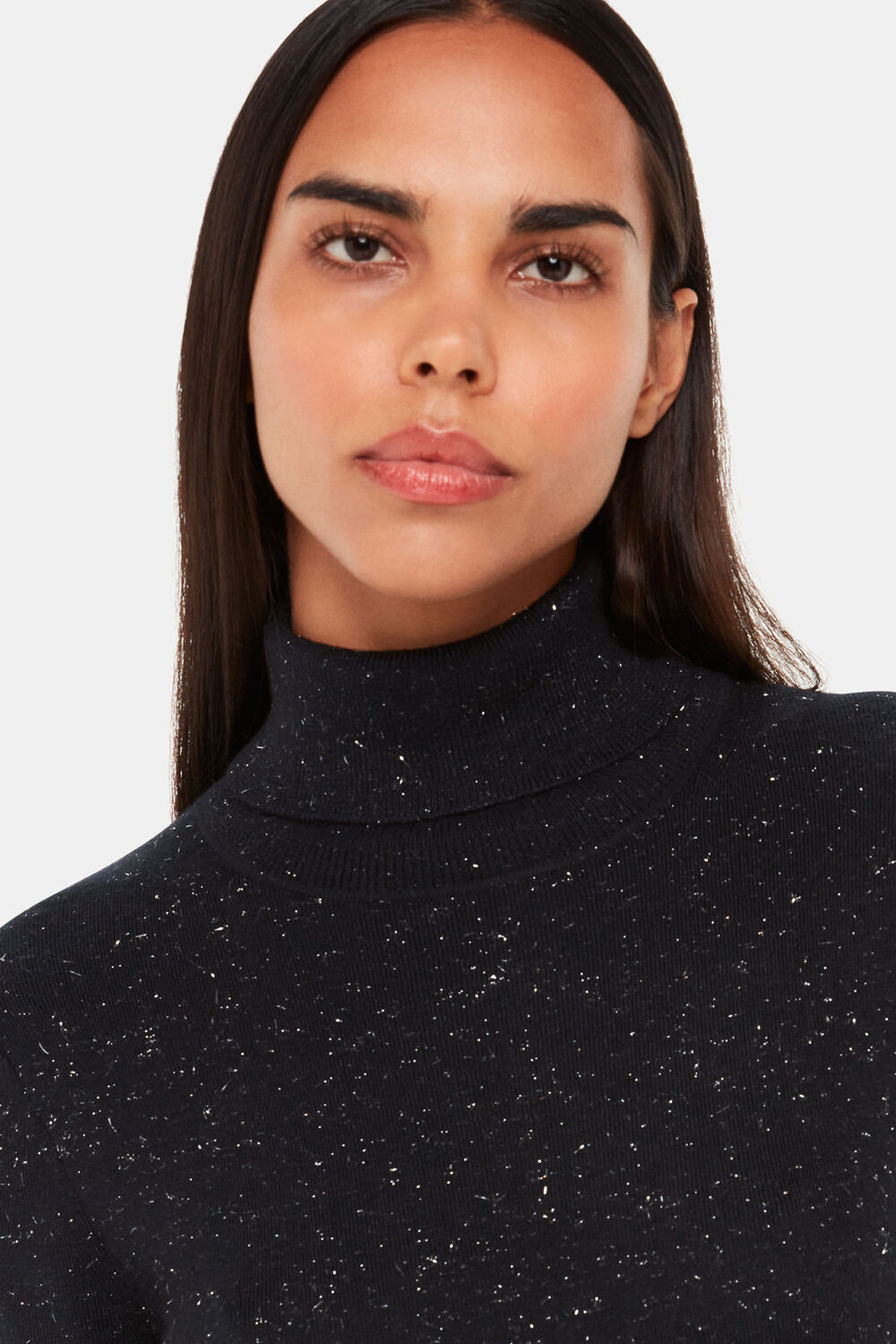 Black Annie Sparkle Roll Neck Dress