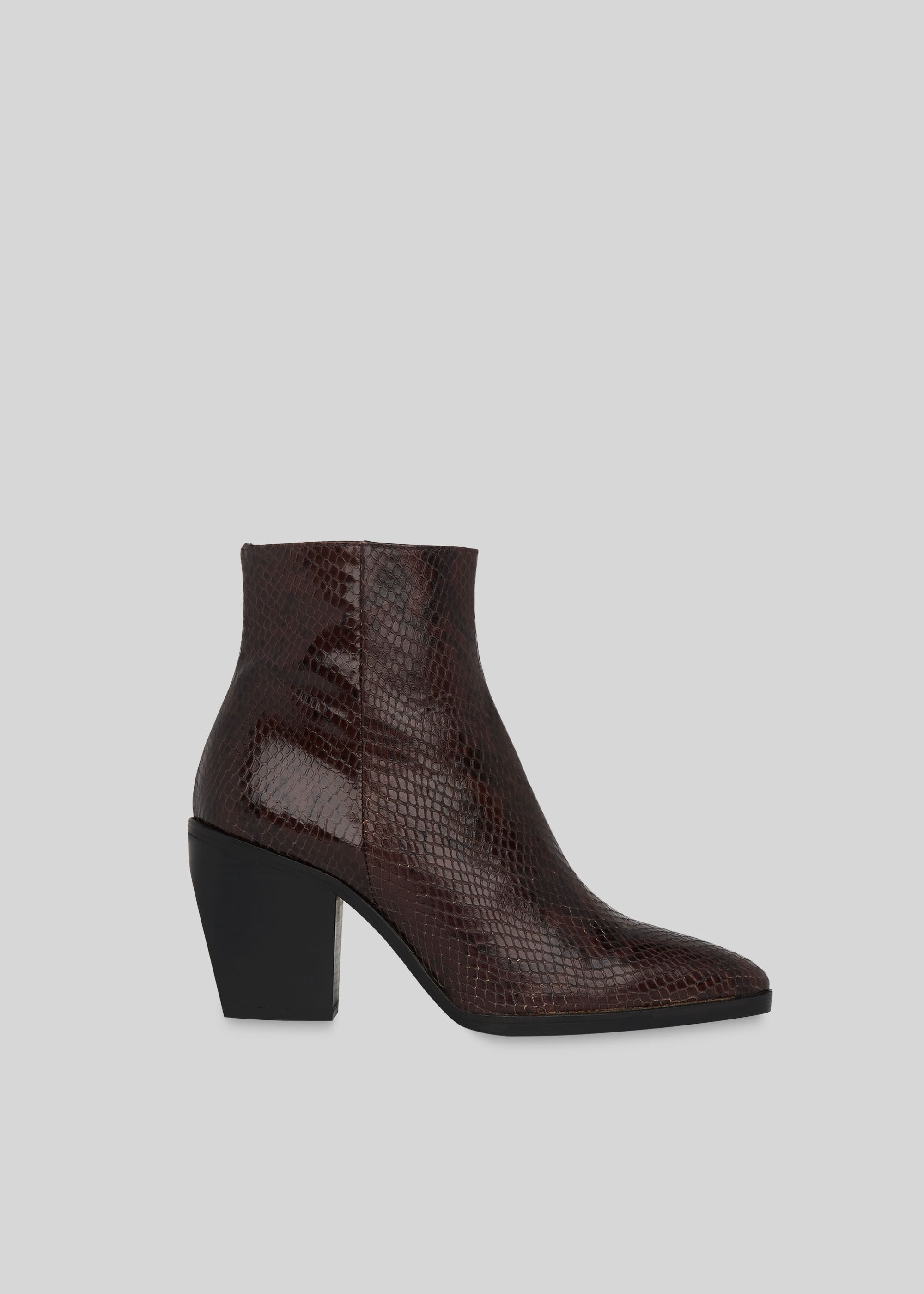 ankle boots snake