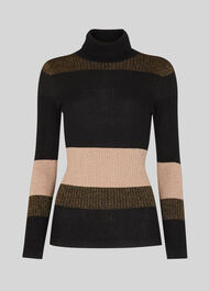 Wide Stripe Sparkle Polo Knit