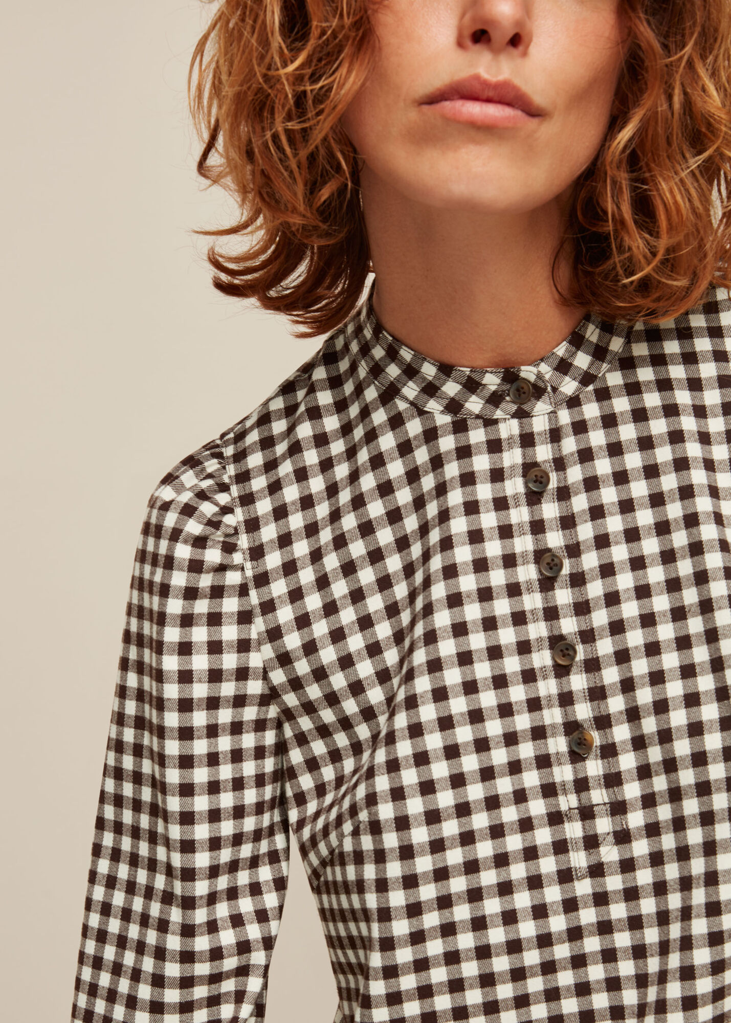 Brown/Multi Gingham Dress WHISTLES