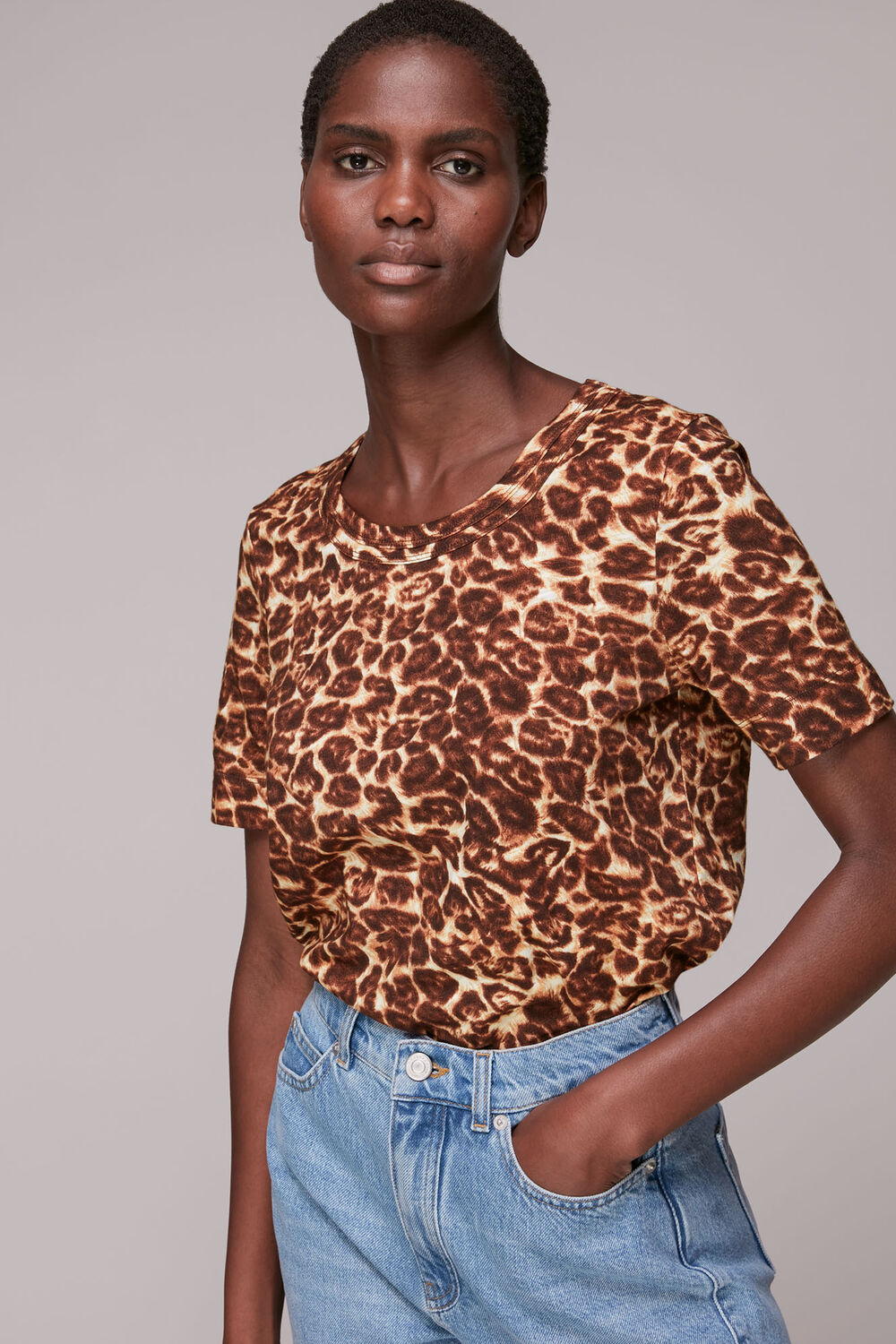 Clouded Leopard Rosa T Shirt