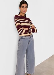 Multi Stripe Crew Neck Knit