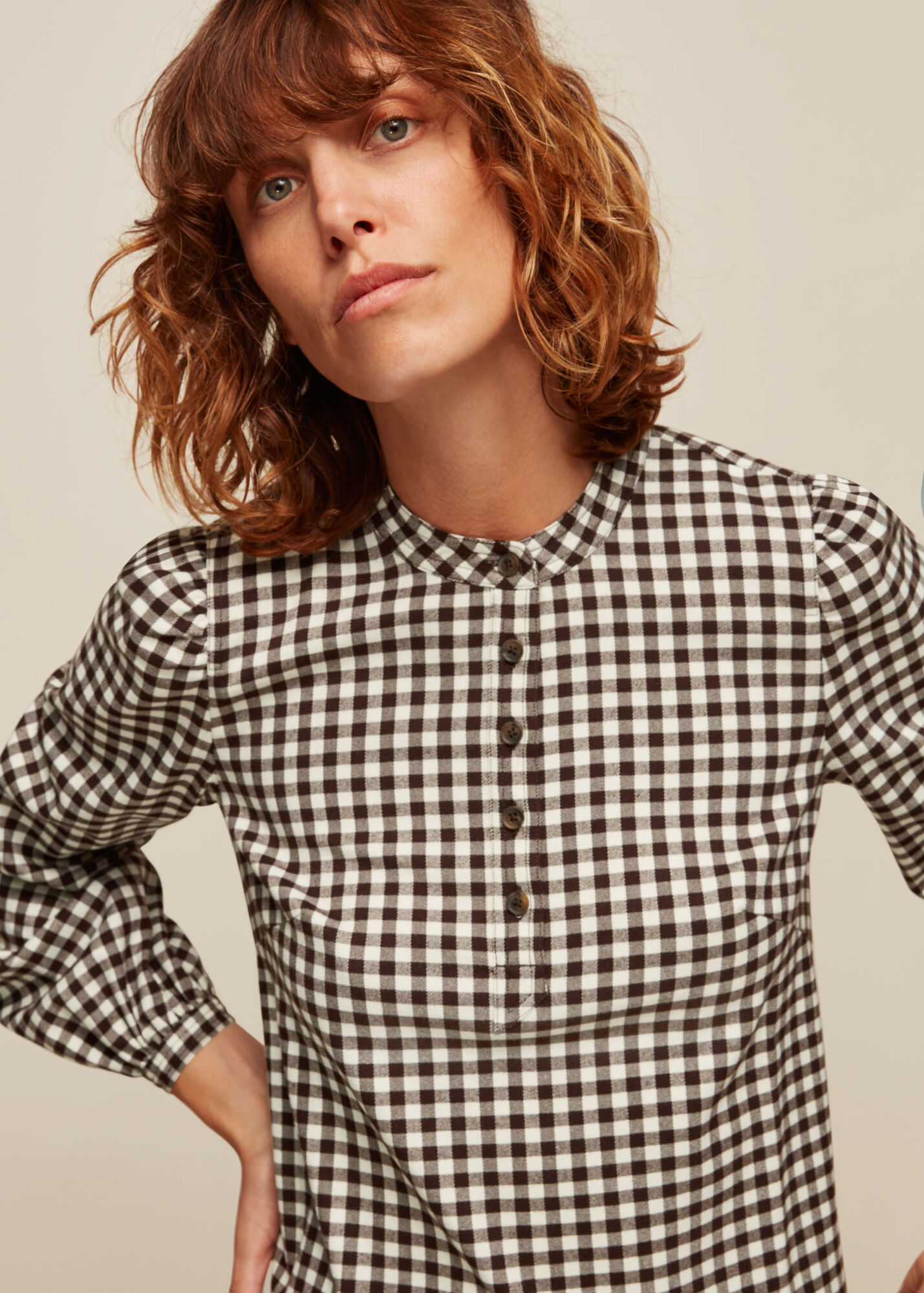 Brown/Multi Gingham Dress WHISTLES