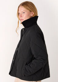 Short Quilted Cord Collar Coat