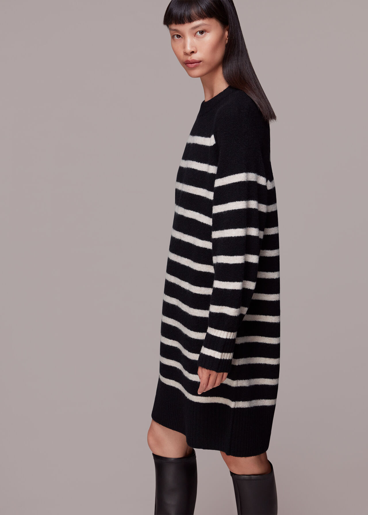 Stripe Crew Neck Knit Dress