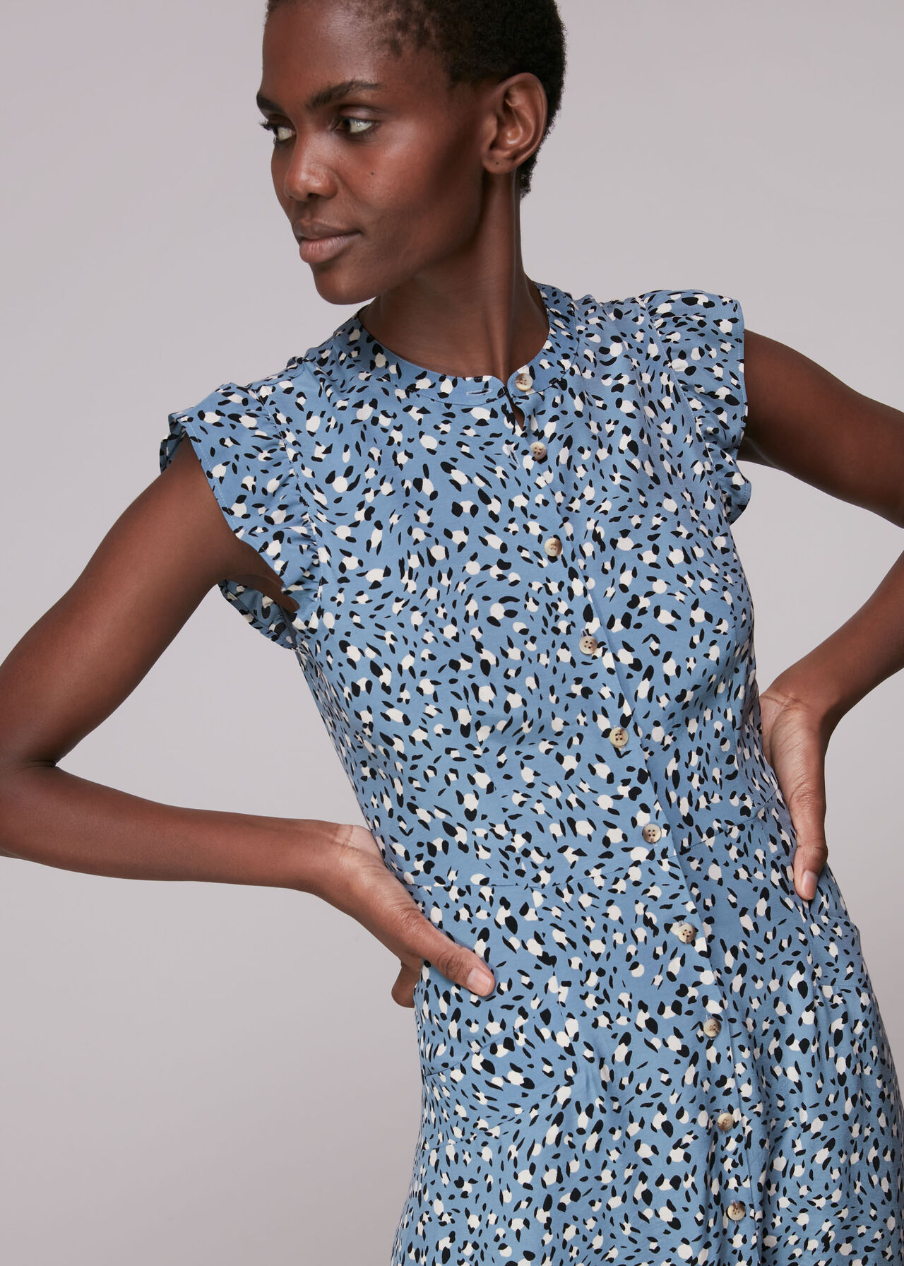 Blue/Multi Wild Leopard Print Frill Dress | WHISTLES