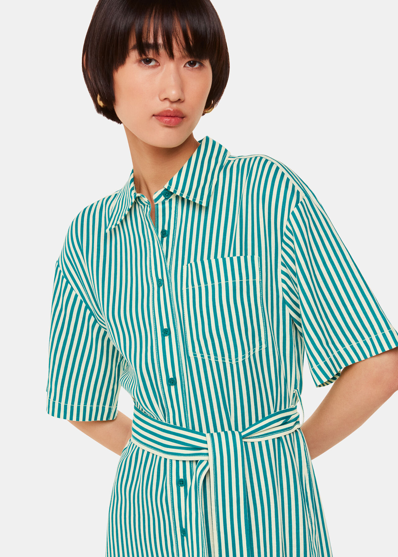 Stripe Linen Blend Dress