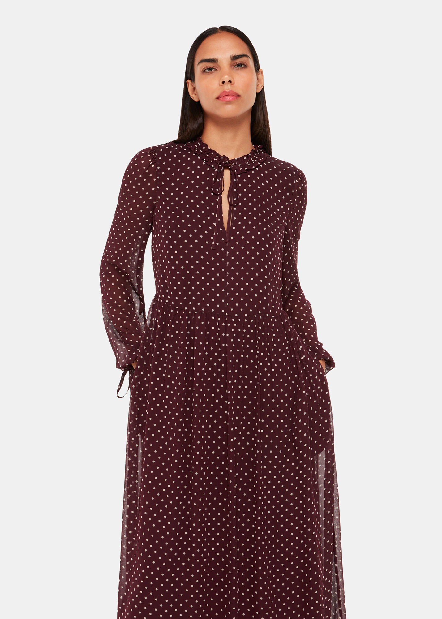Burgundy Multi Spot Print Trapeze Midi Dress WHISTLES
