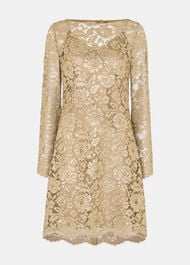 Metallic Lace Mini Dress