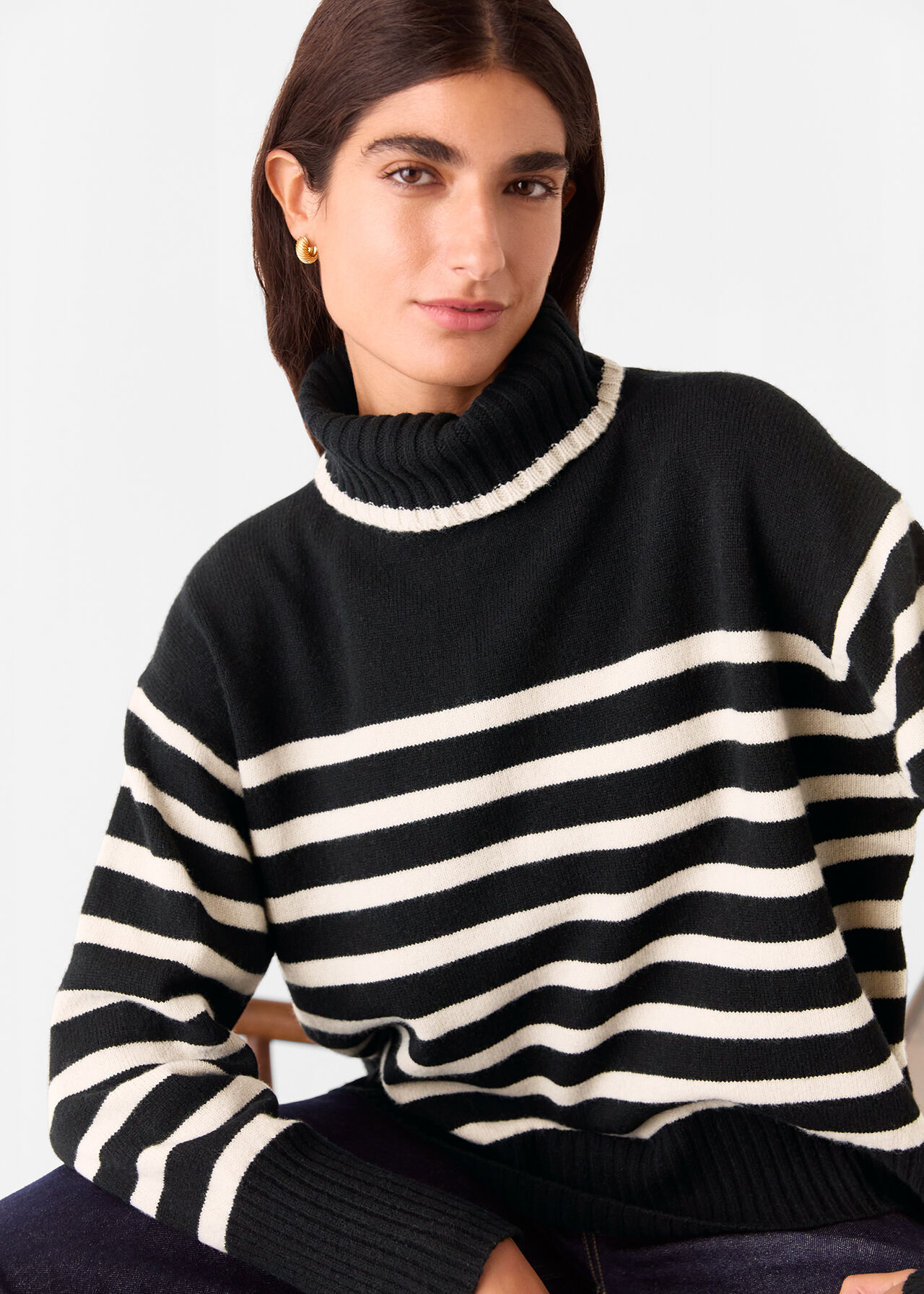Stripe Wool Roll Neck
