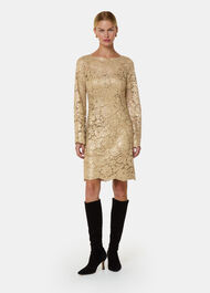 Metallic Lace Mini Dress