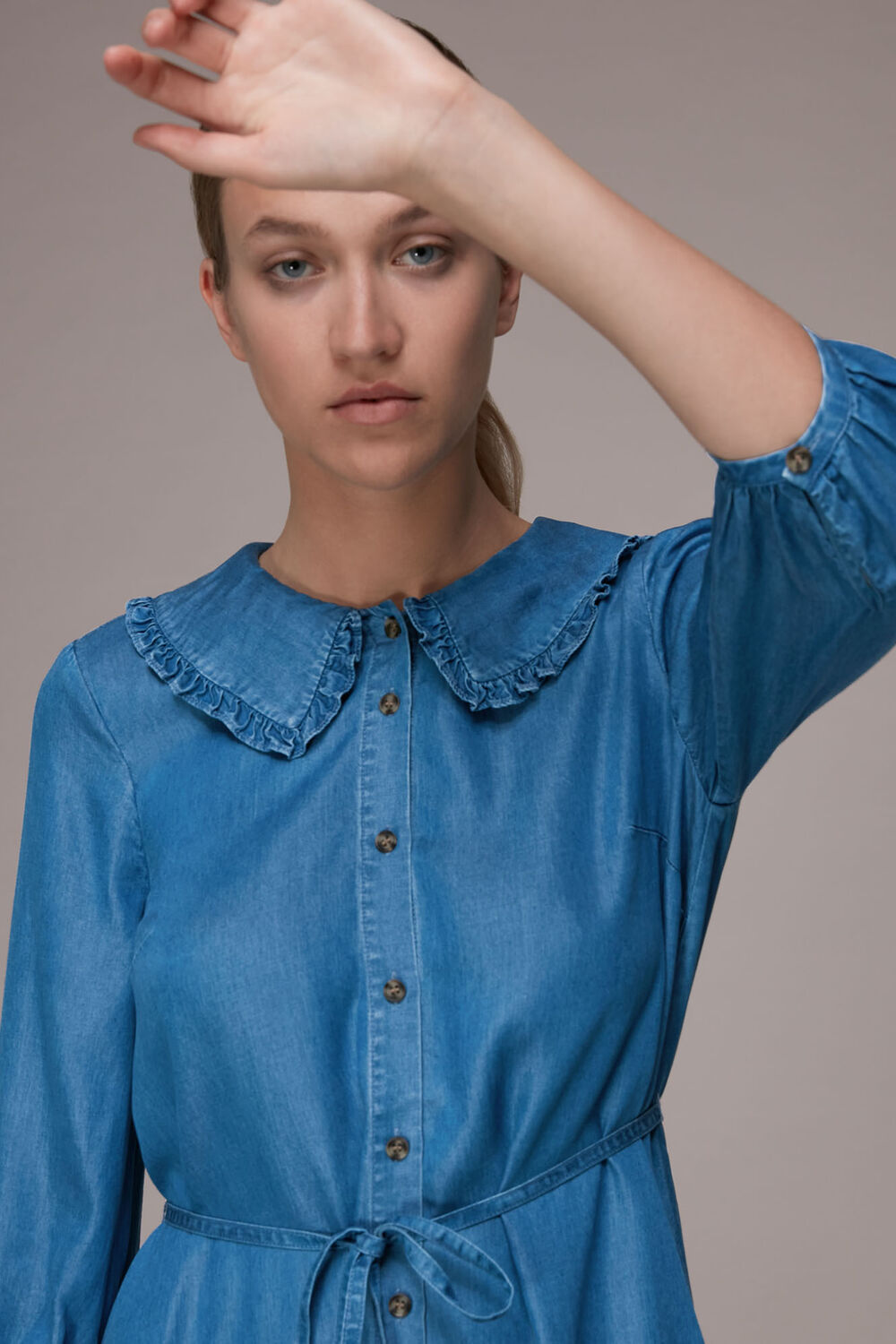 Chambray Collar Dress