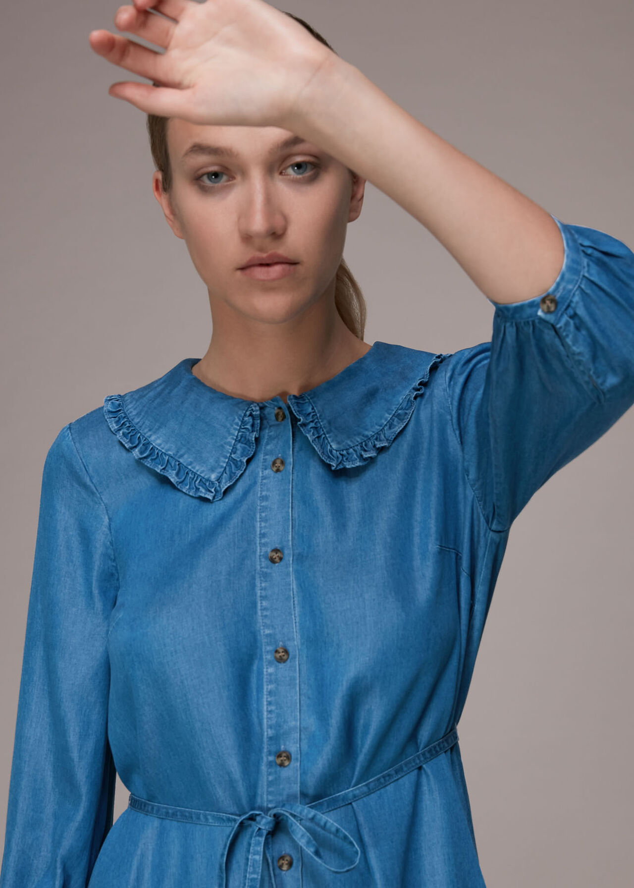 Chambray Collar Dress