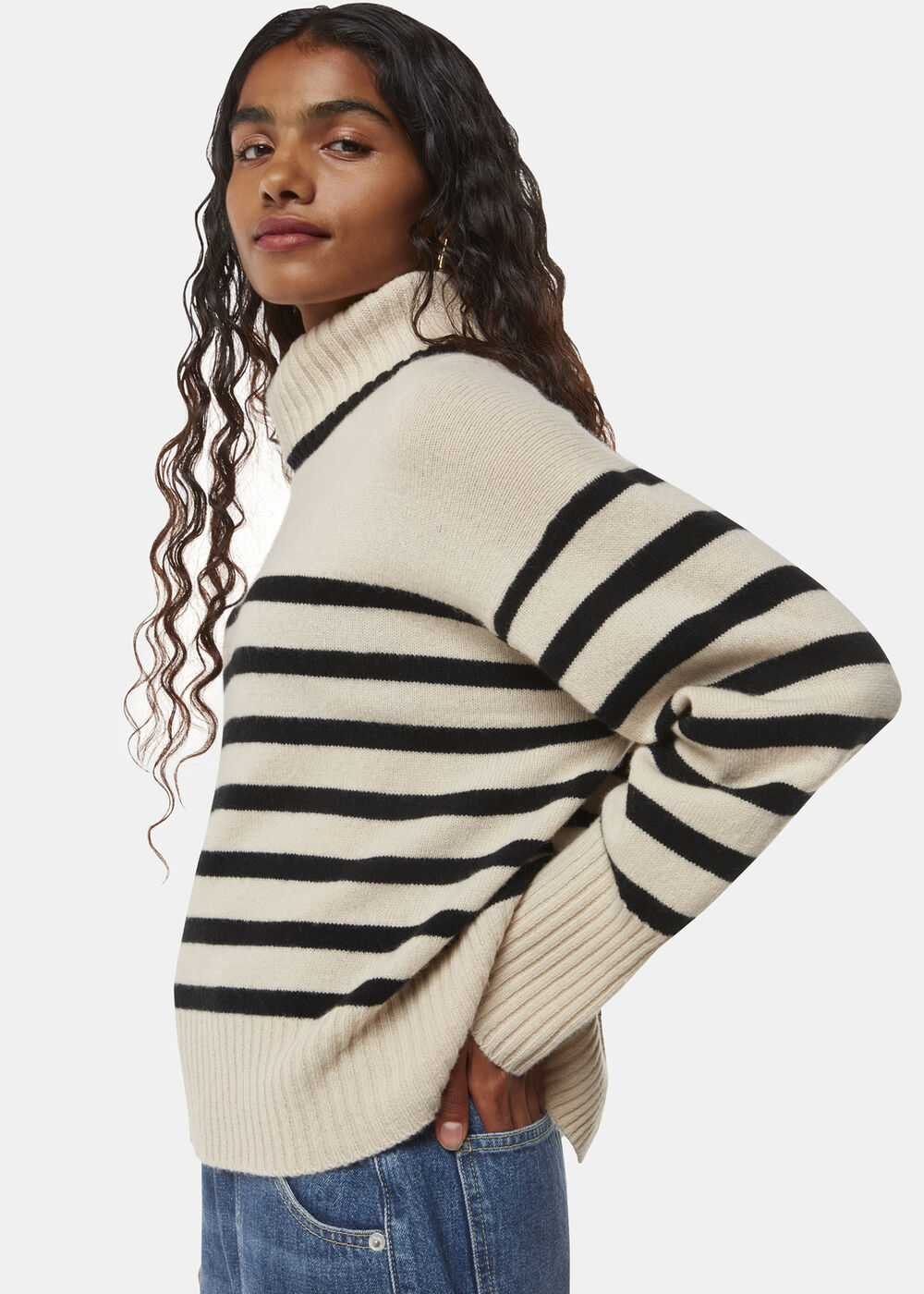 Petite Stripe Wool Roll Neck