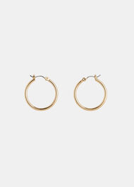 Classic Hoop Earring Gold