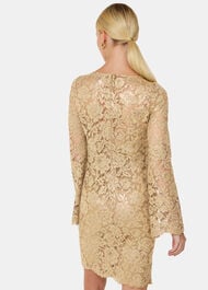 Metallic Lace Mini Dress