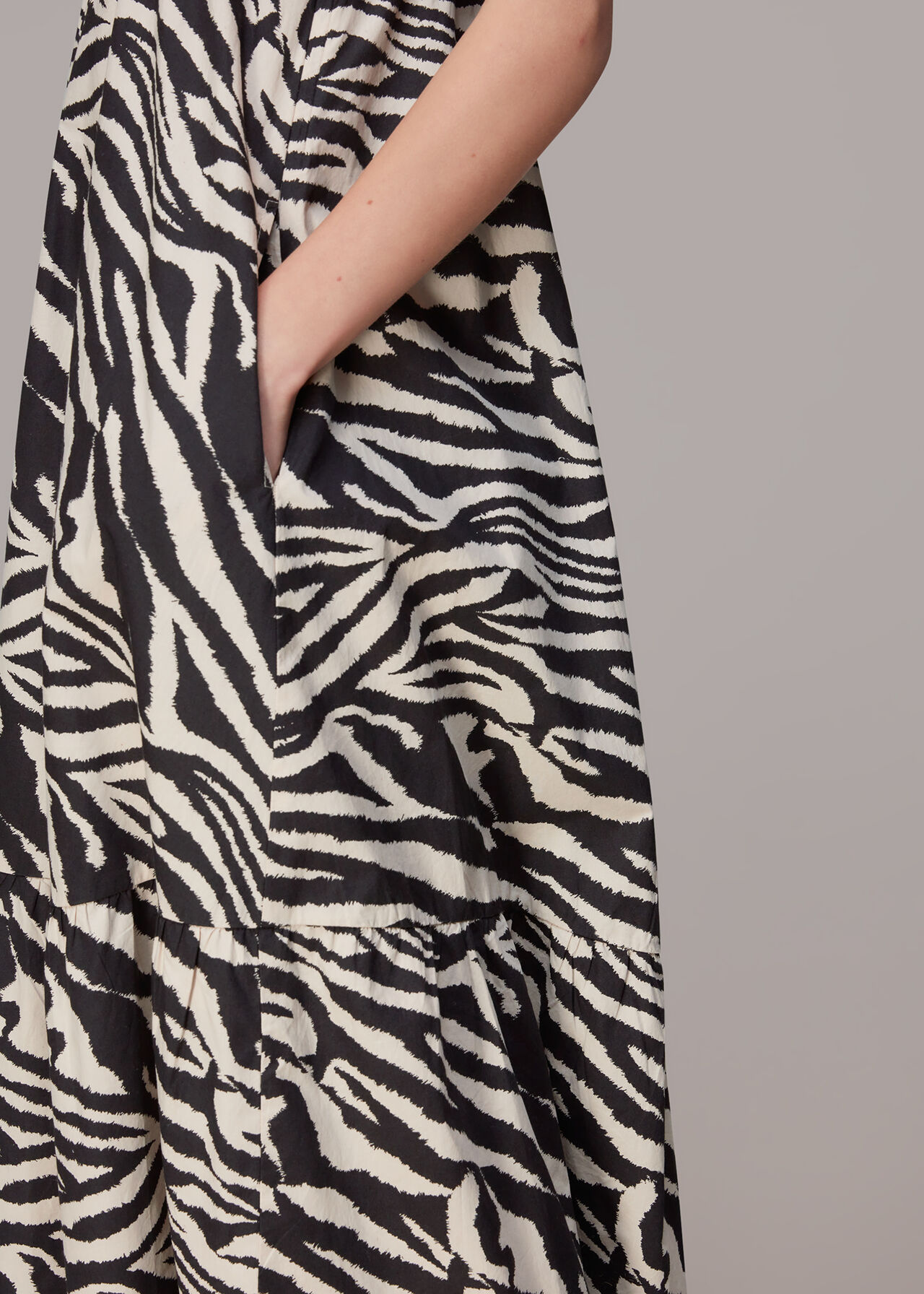 Mountain Zebra Print Dress