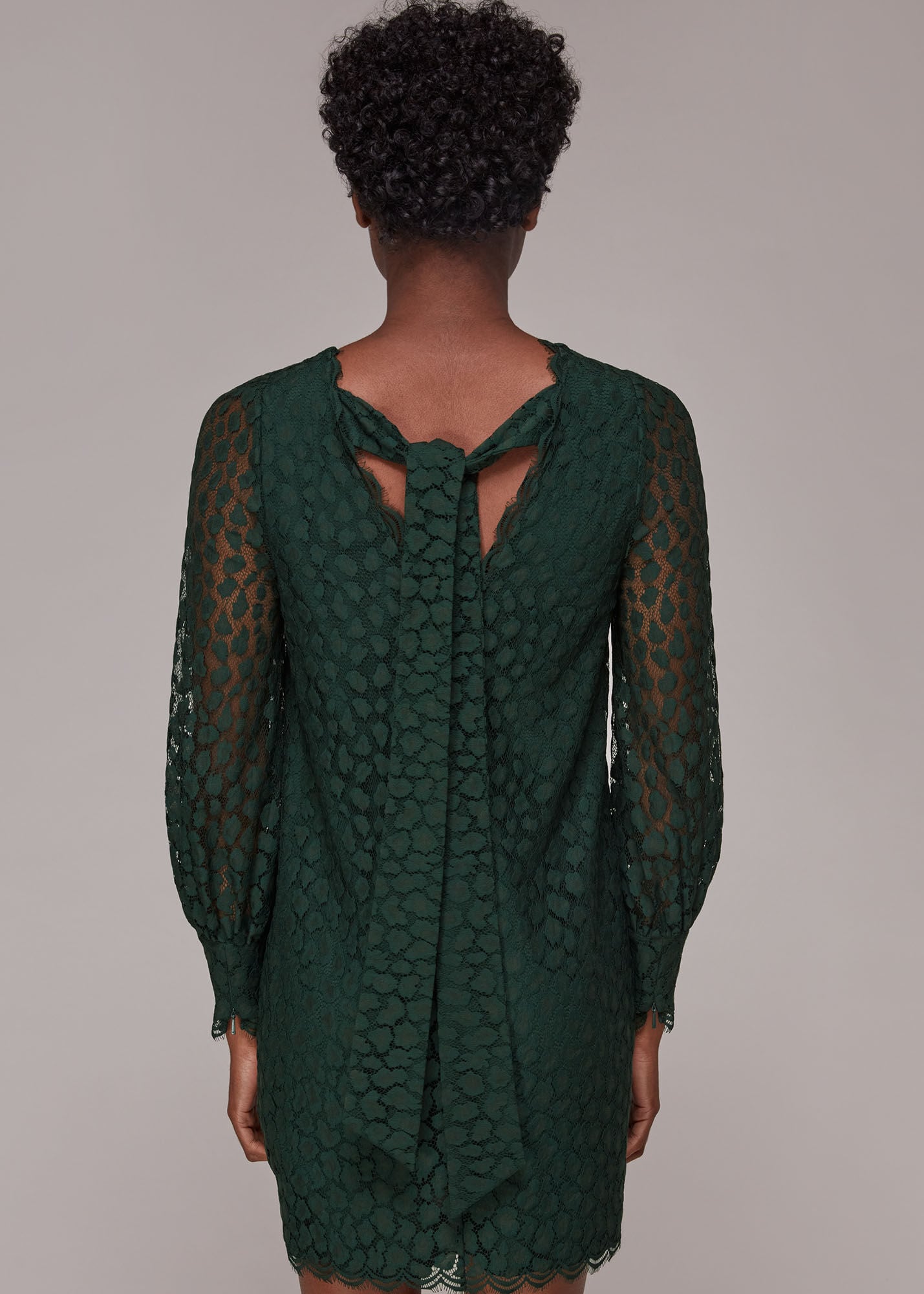 Animal Lace Detail Woven Satin Midi Unlined Evening Dress main image 0