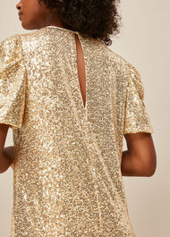 Sequin Shift Dress