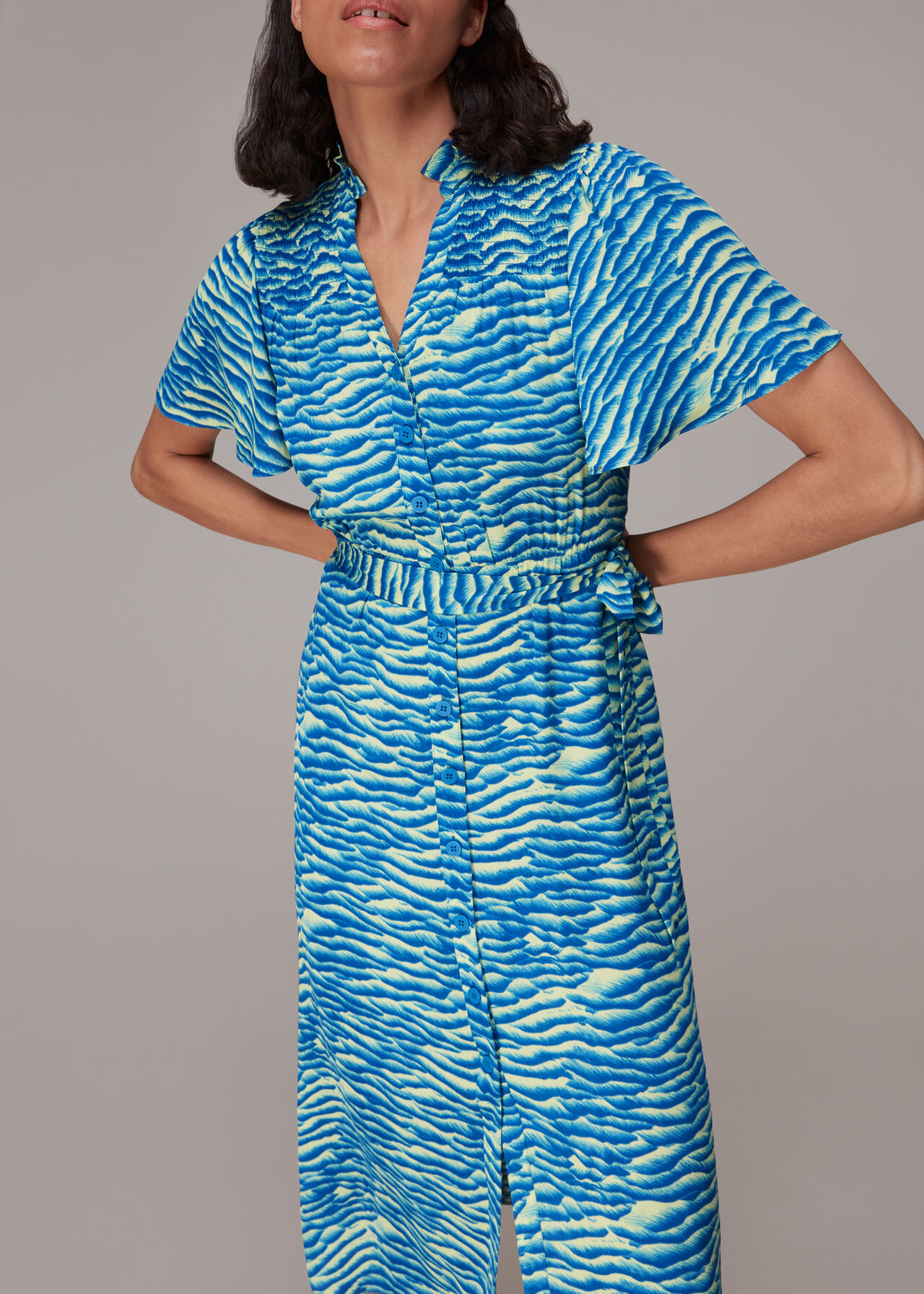 Seafoam Zebra Midi Dress