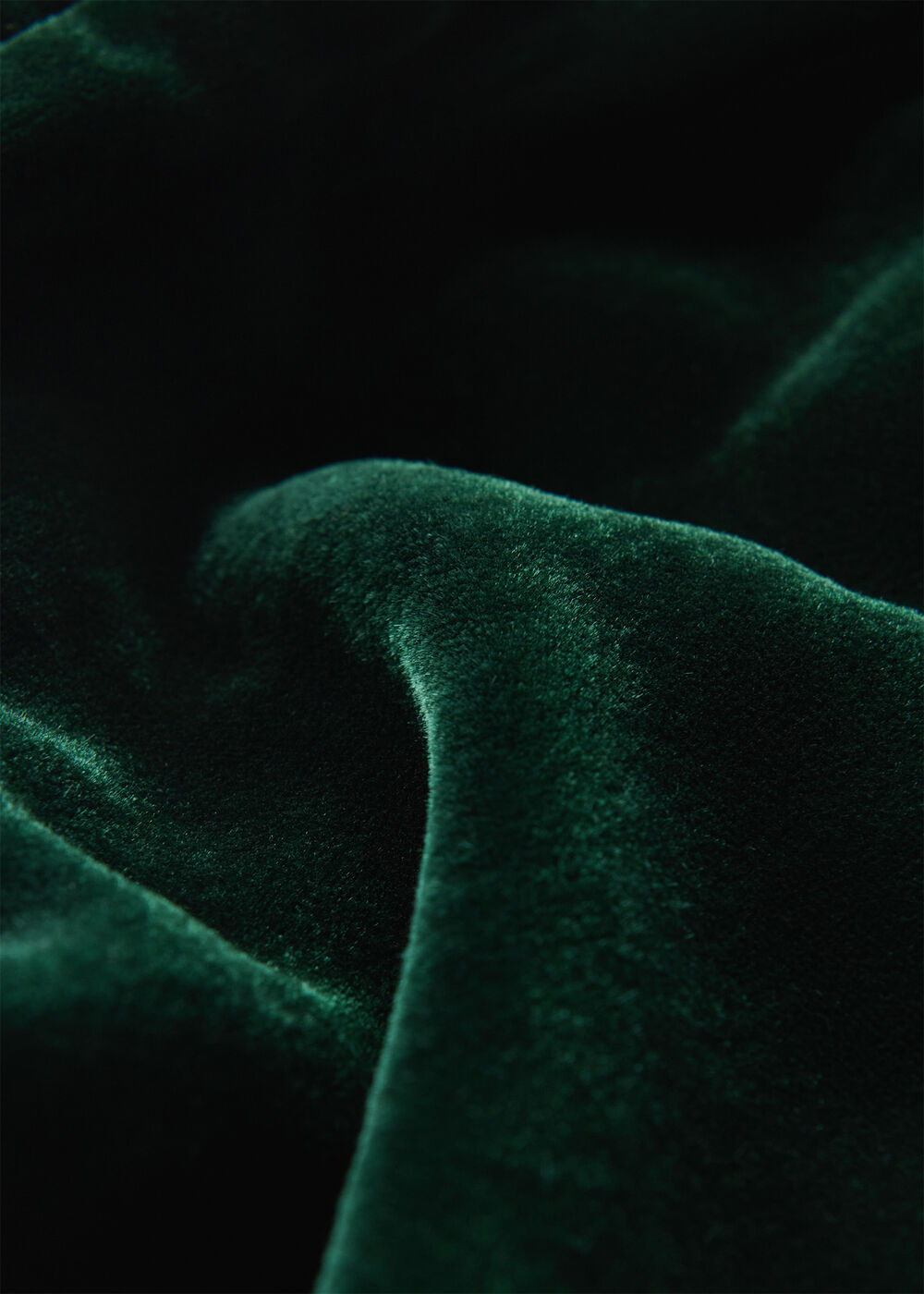 Velvet Flare Sleeve Dress