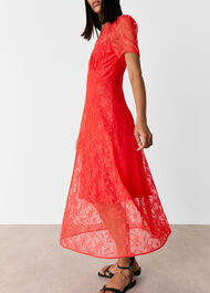 Fay Lace Midi Dress