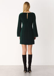 Velvet Flare Sleeve Dress