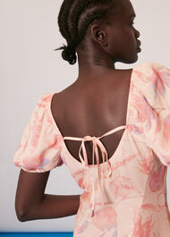 Seam Detail Floral Print Dress
