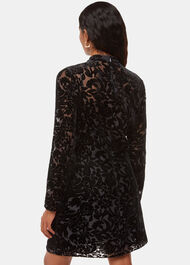 Petite Hot Fix Floral Velvet Dress