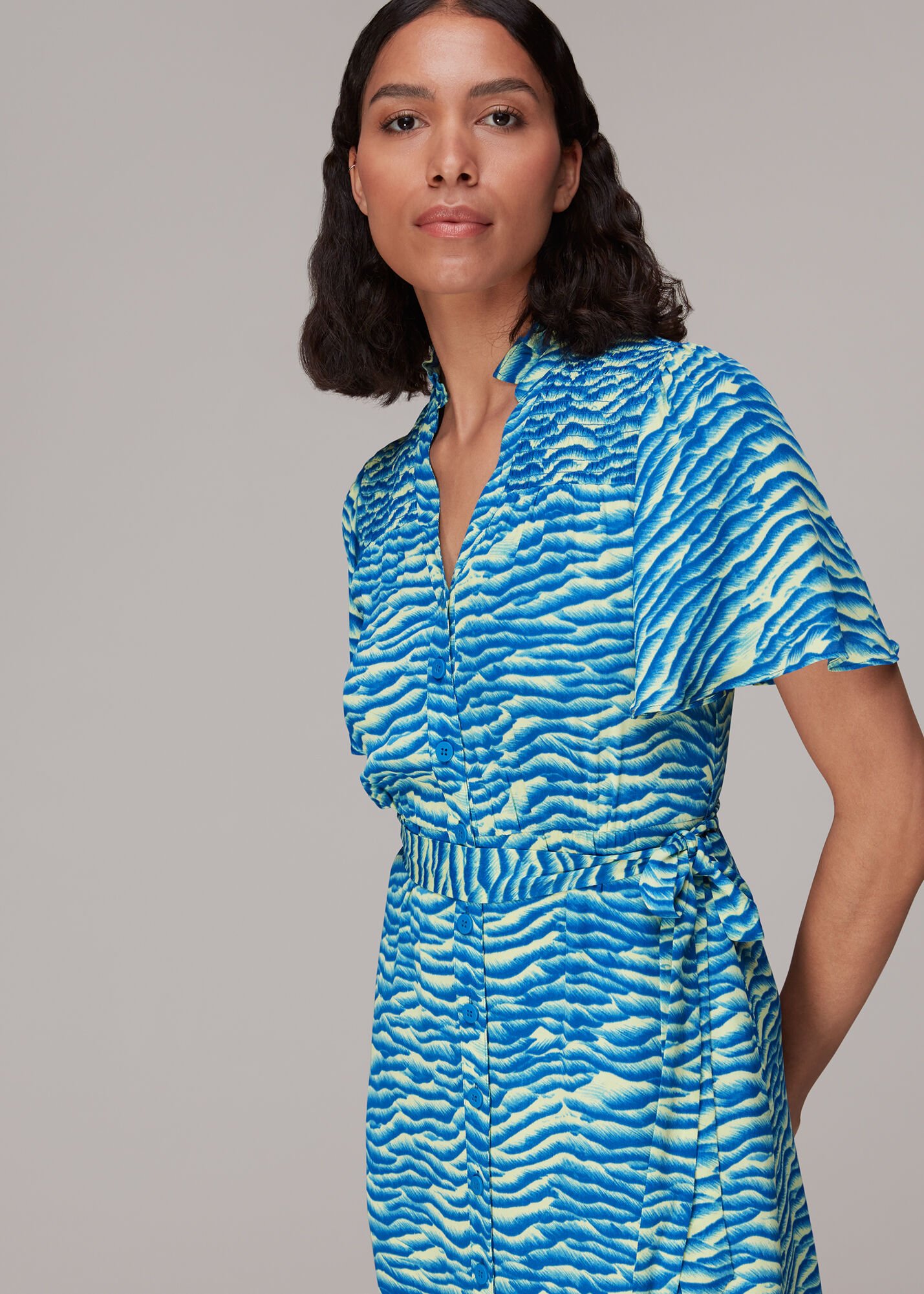Blue Multi Seafoam Zebra Midi Dress WHISTLES Whistles UK
