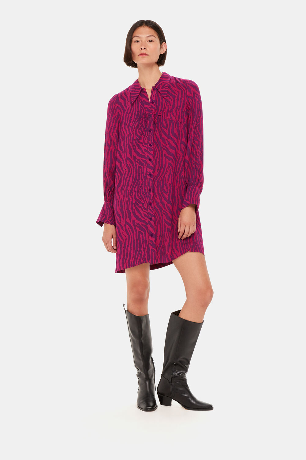 Zebra Stripe Collar Dress