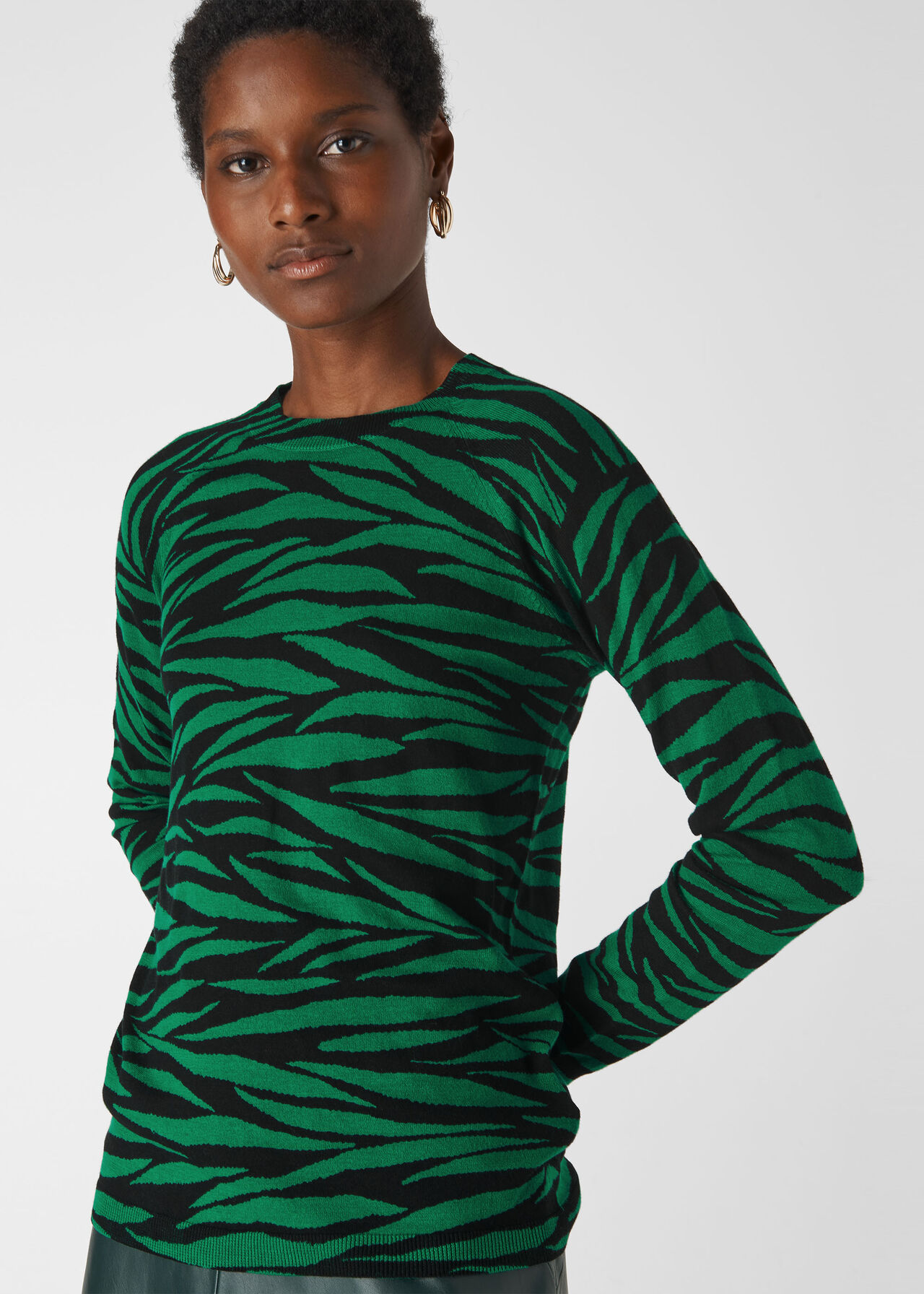 Tiger Stripe Crew Neck Knit Green/Multi