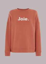 Joie Oversized Logo Sweatshirt