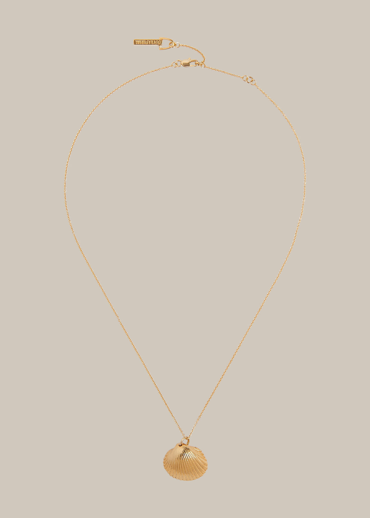 Ribbed Shell Pendant Necklace