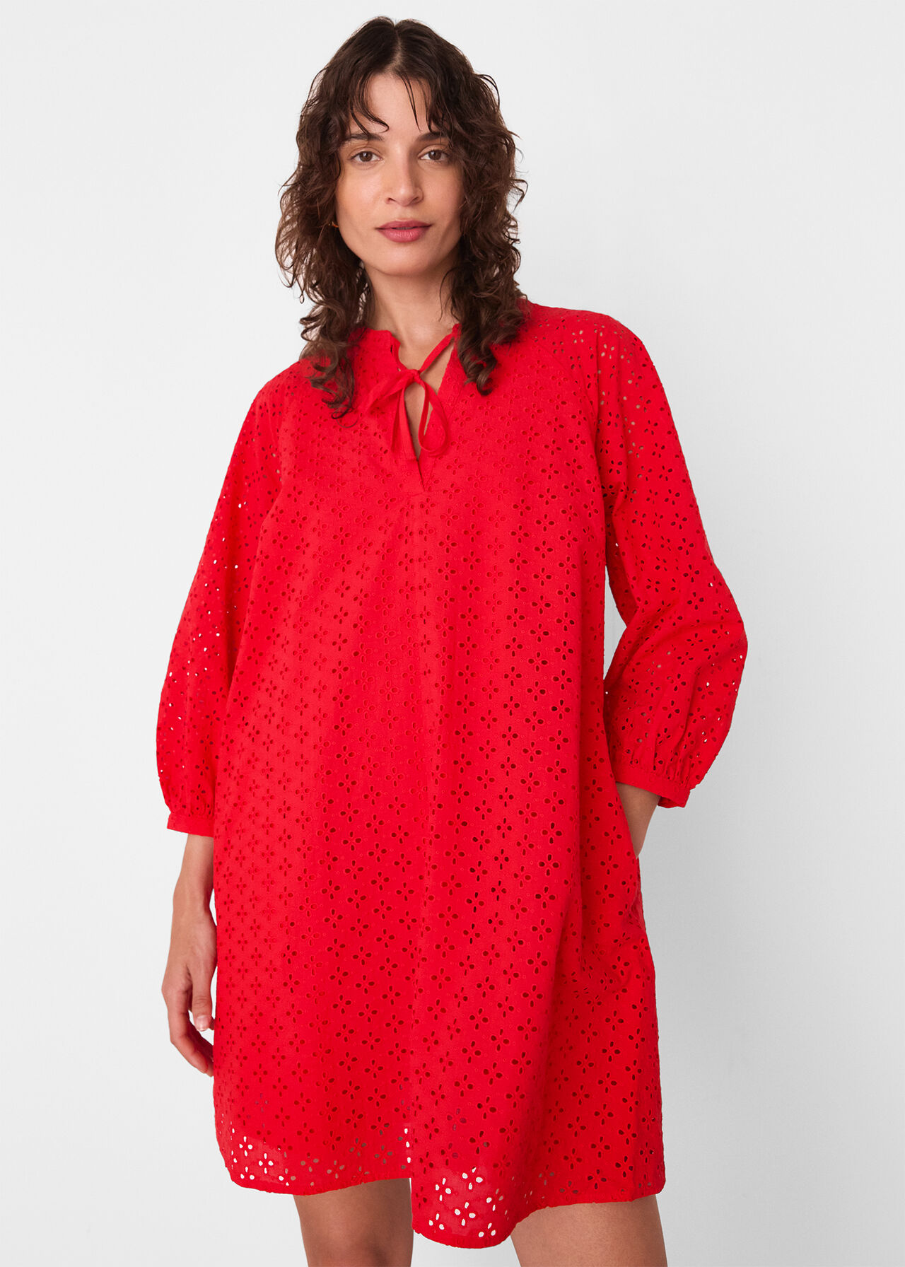 Broderie Cotton Mini Dress
