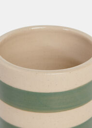 KS Duci Stripe Cup