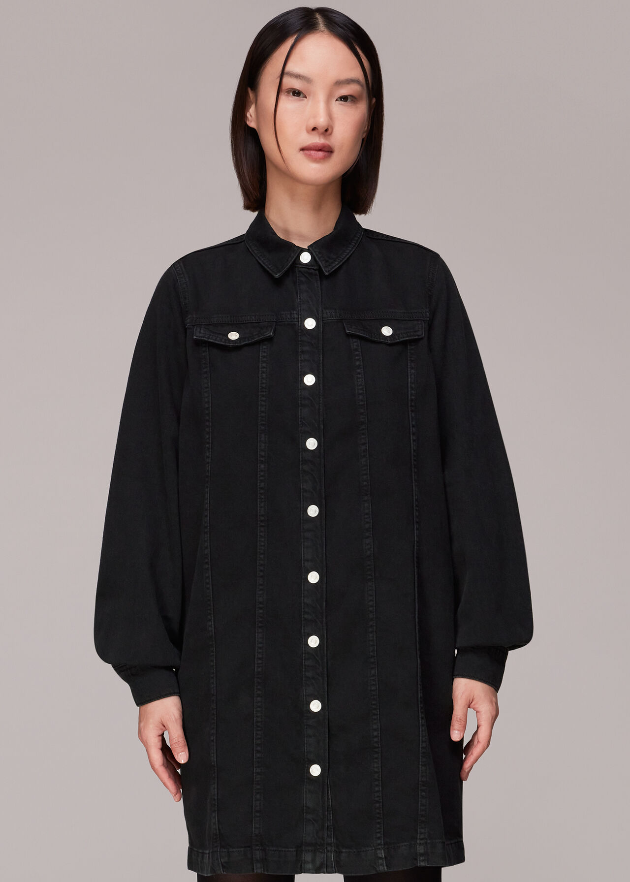 Rosanna Denim Dress