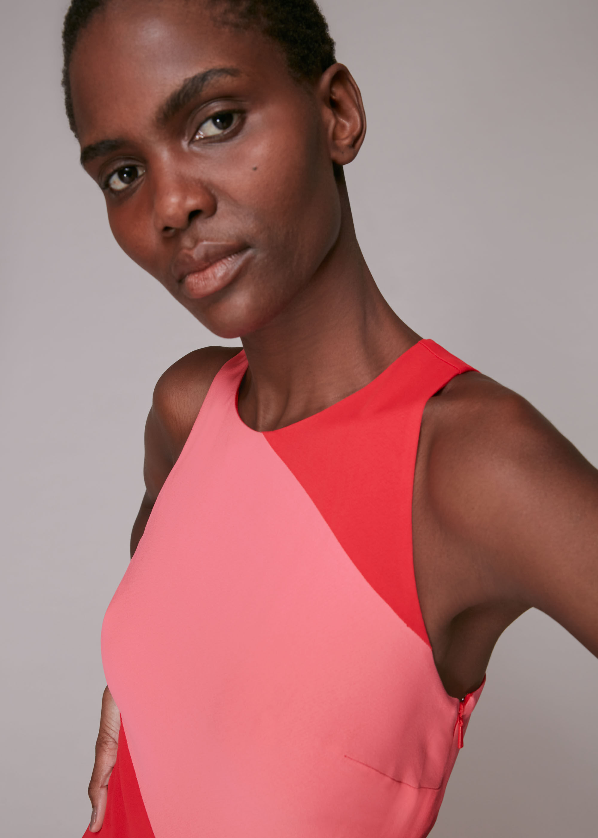 Red Poppy Panelled Dress