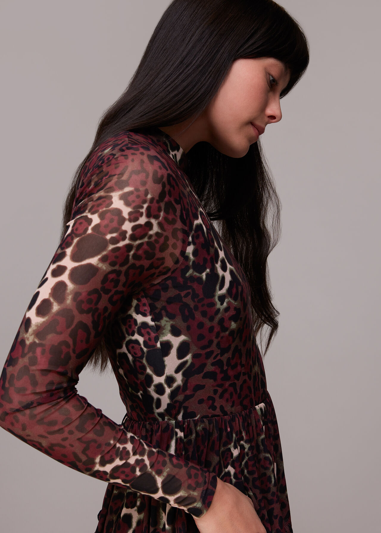 Night Cat Tiered Mesh Dress