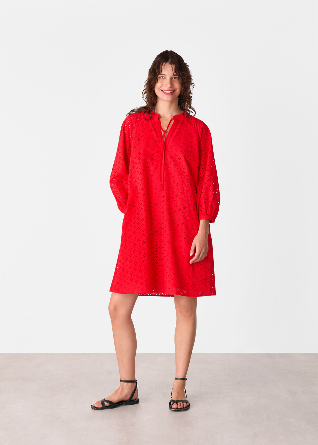 Broderie Cotton Mini Dress
