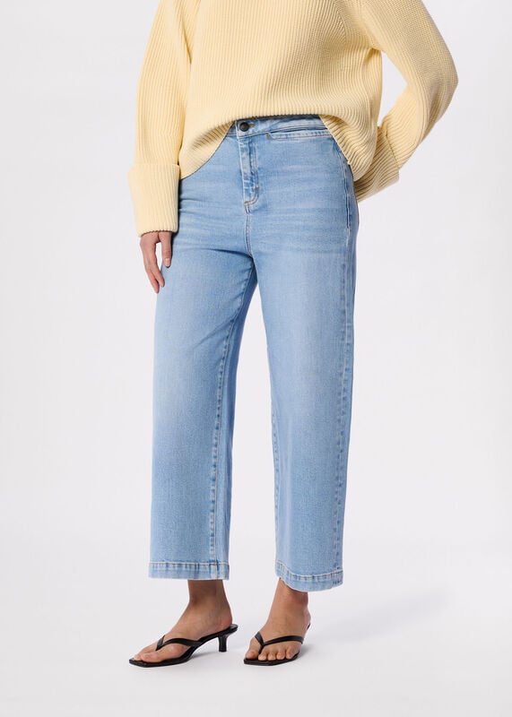 Light Wash Stretch Straight Ankle Jean