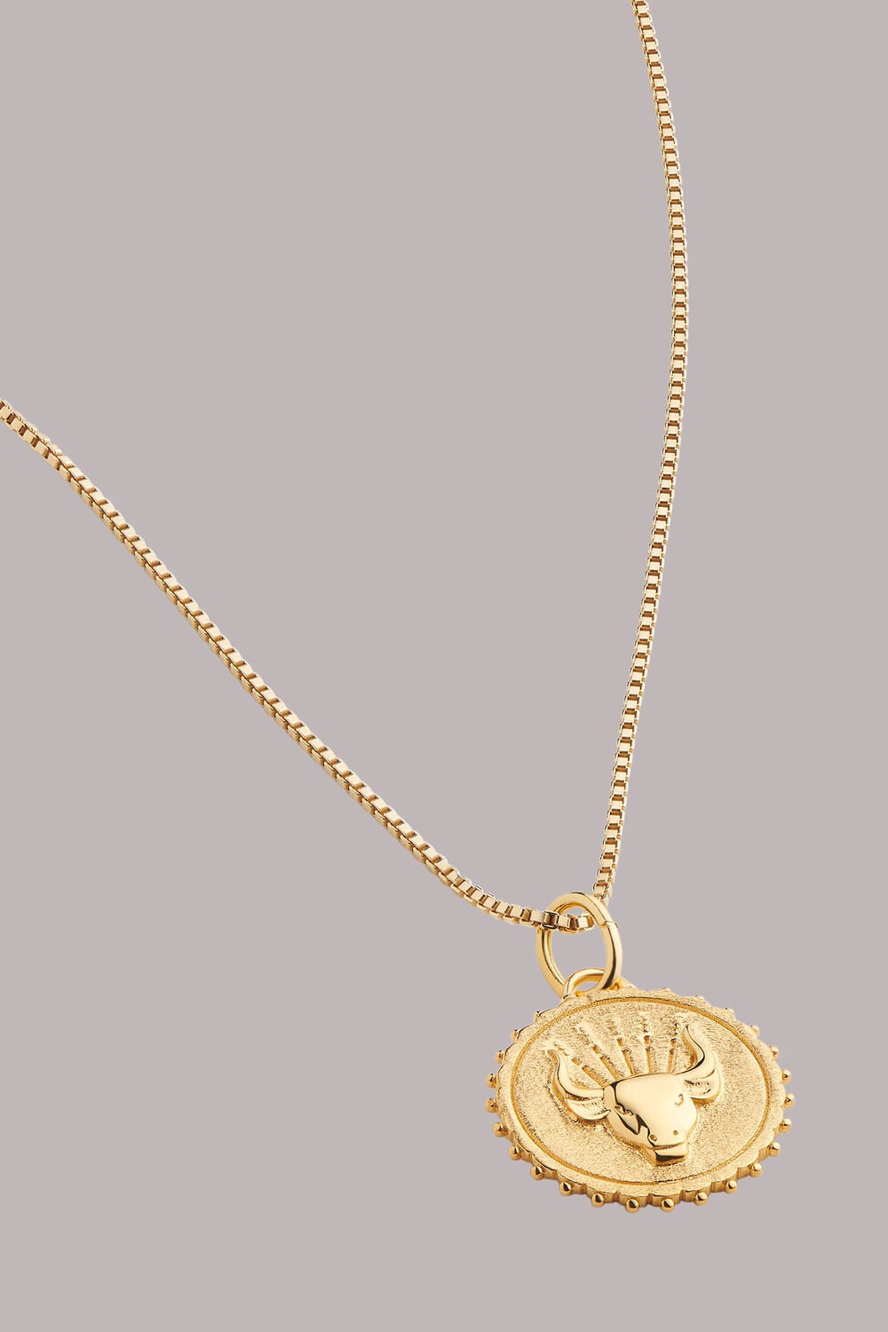 RJ Taurus Necklace