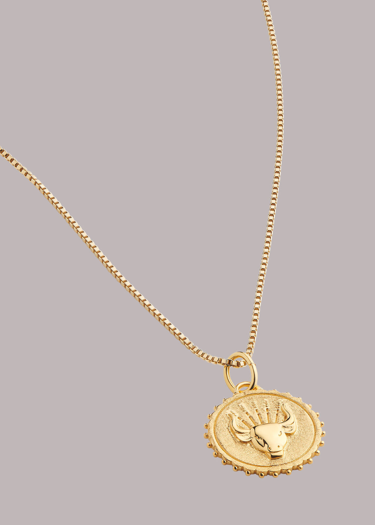RJ Taurus Necklace