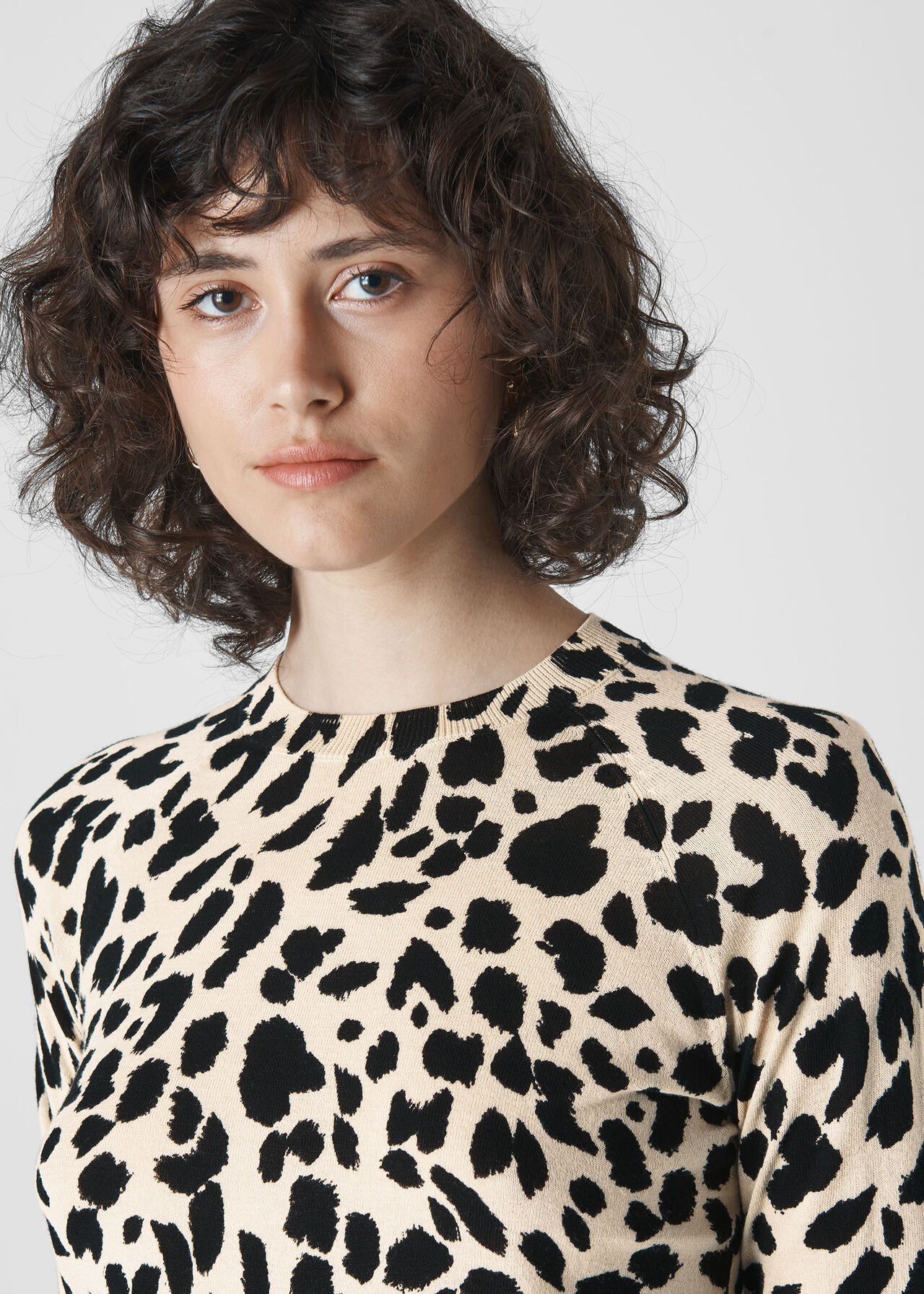 Brushed Cheetah Crew Neck Knit Leopard Print