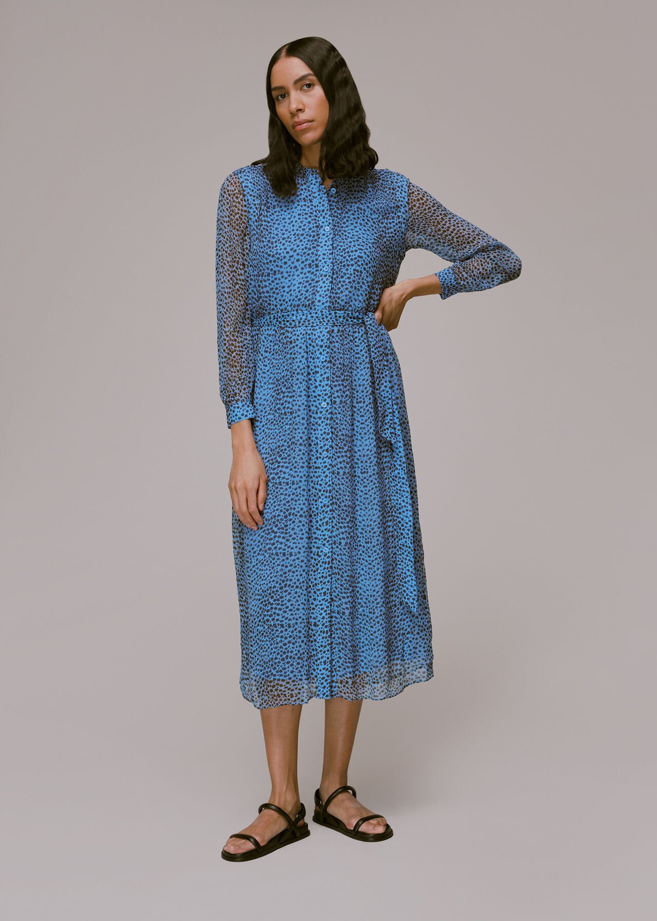 Blue/Multi Gradient Animal Print Dress | WHISTLES |