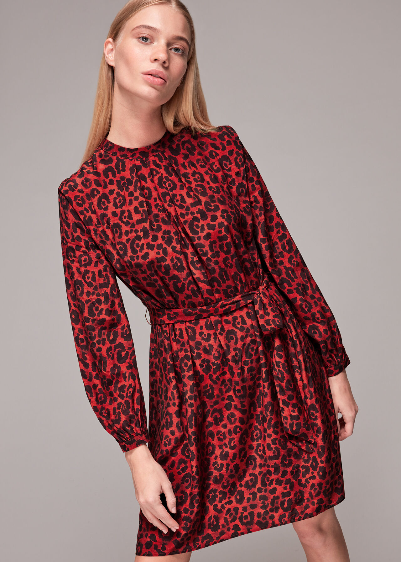 Belted Animal Print Dress