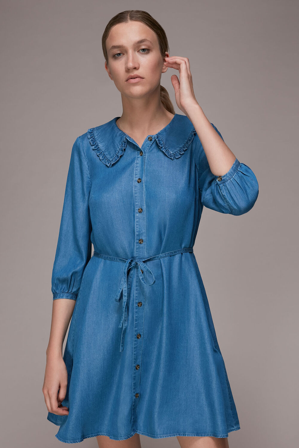 Chambray Collar Dress