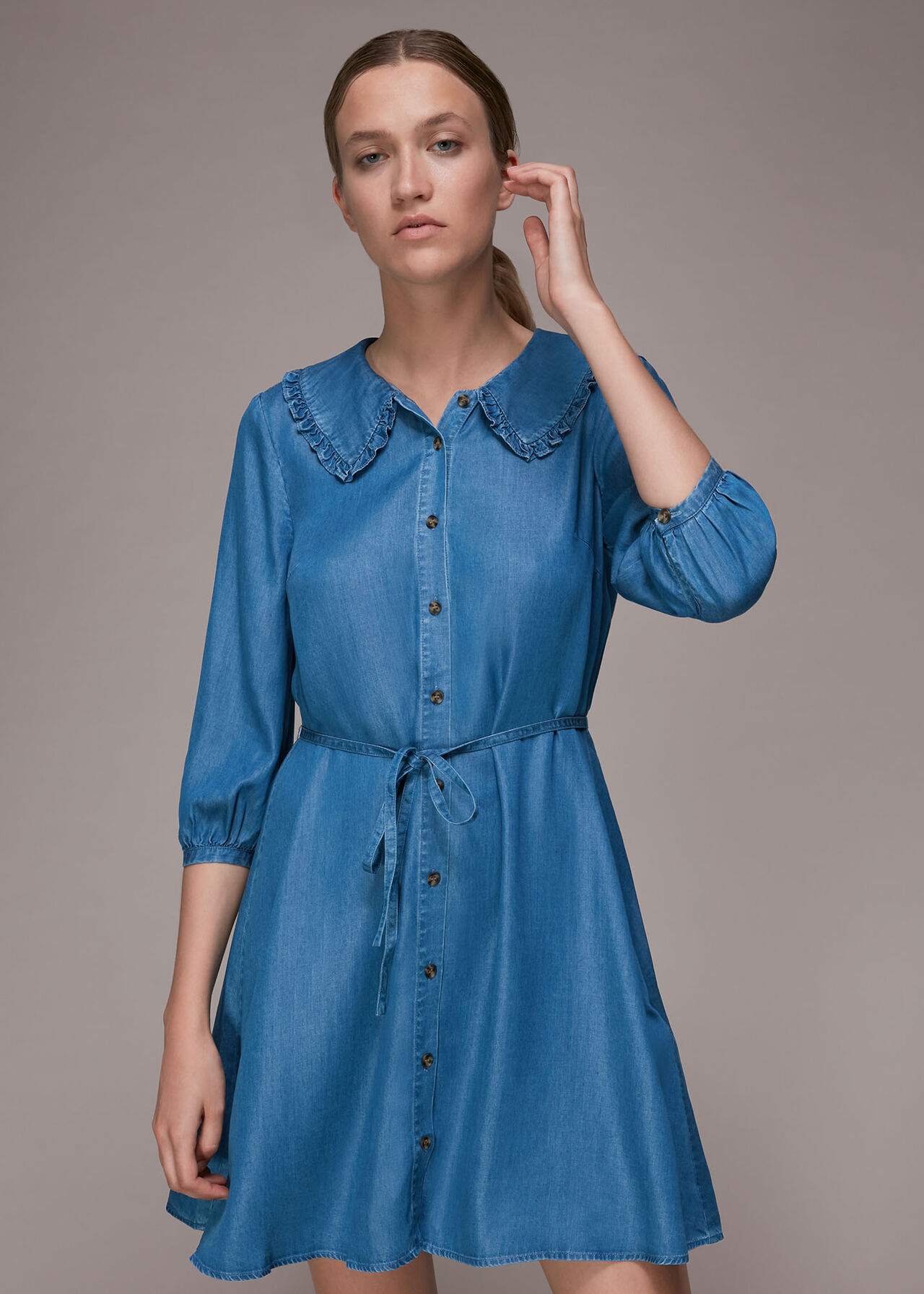 Chambray Collar Dress